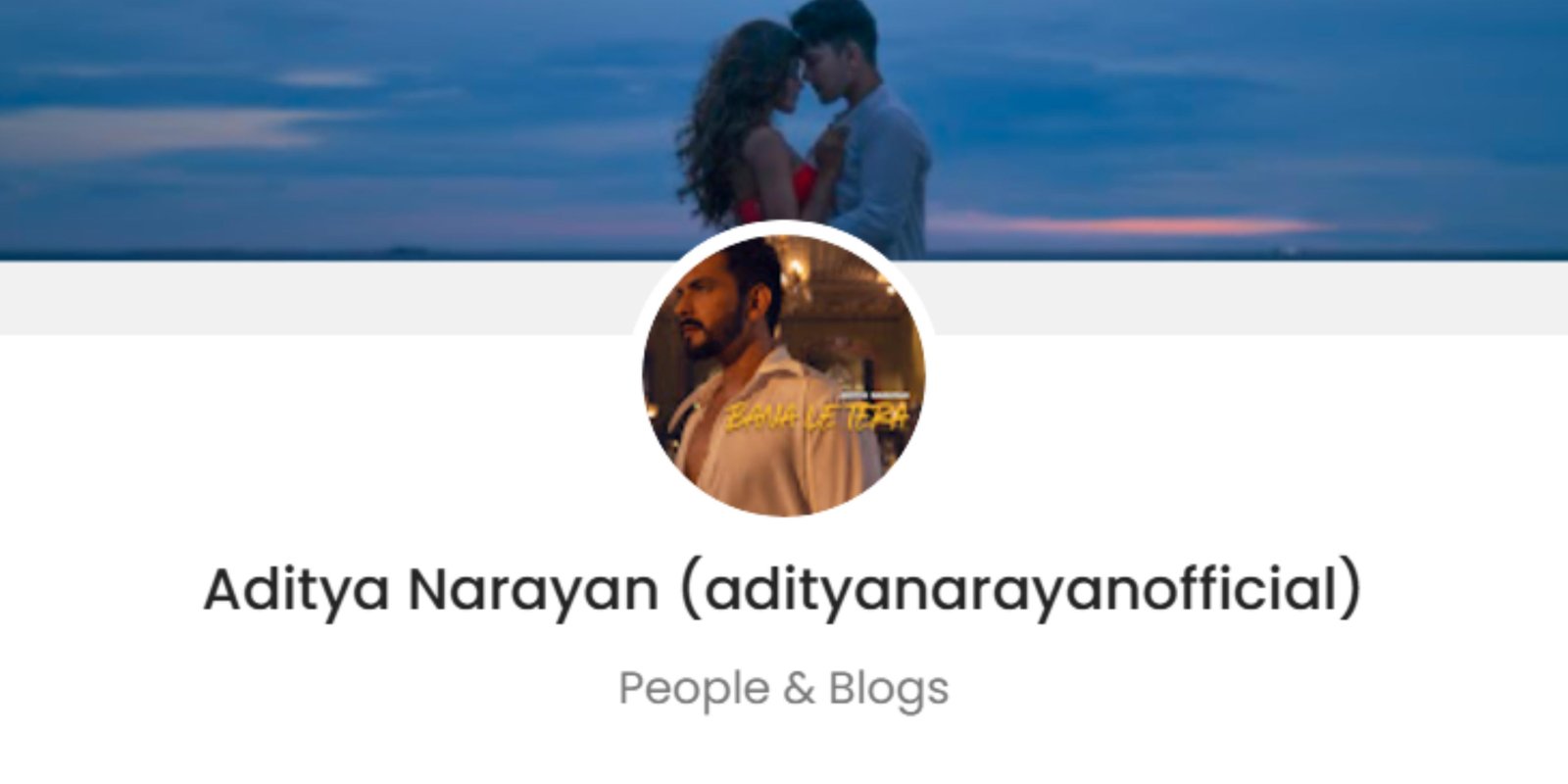 Aditya Narayan Promotion Price