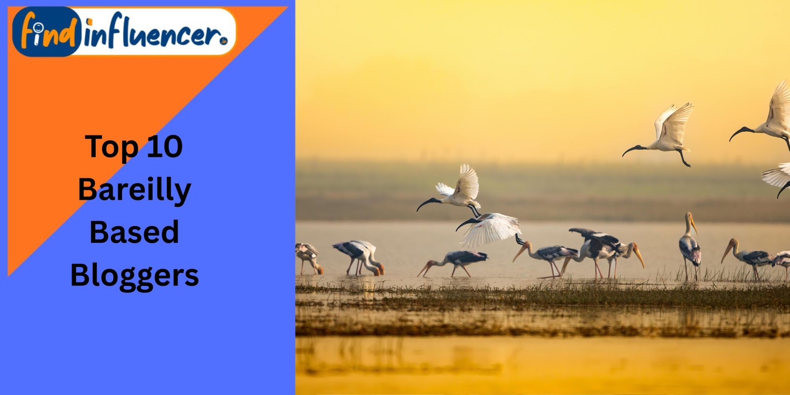 Top 10 Bareilly Based Bloggers