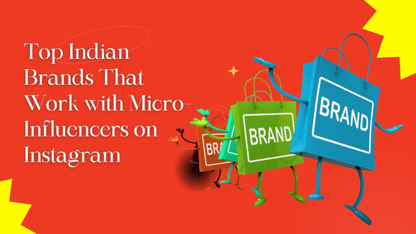   Top Indian Brands That Work with Micro-Influencers on Instagram