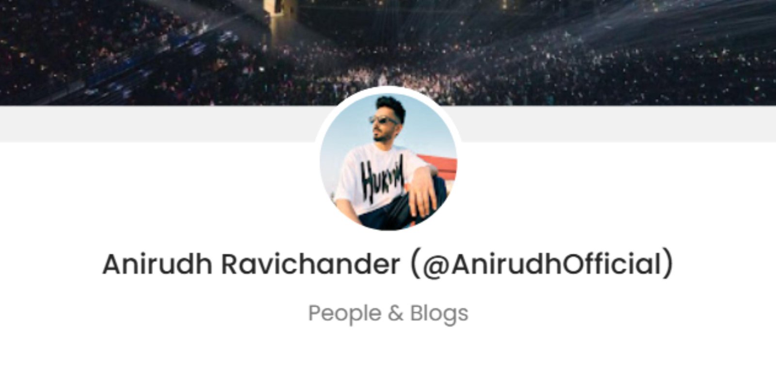 Anirudh Promotion Price