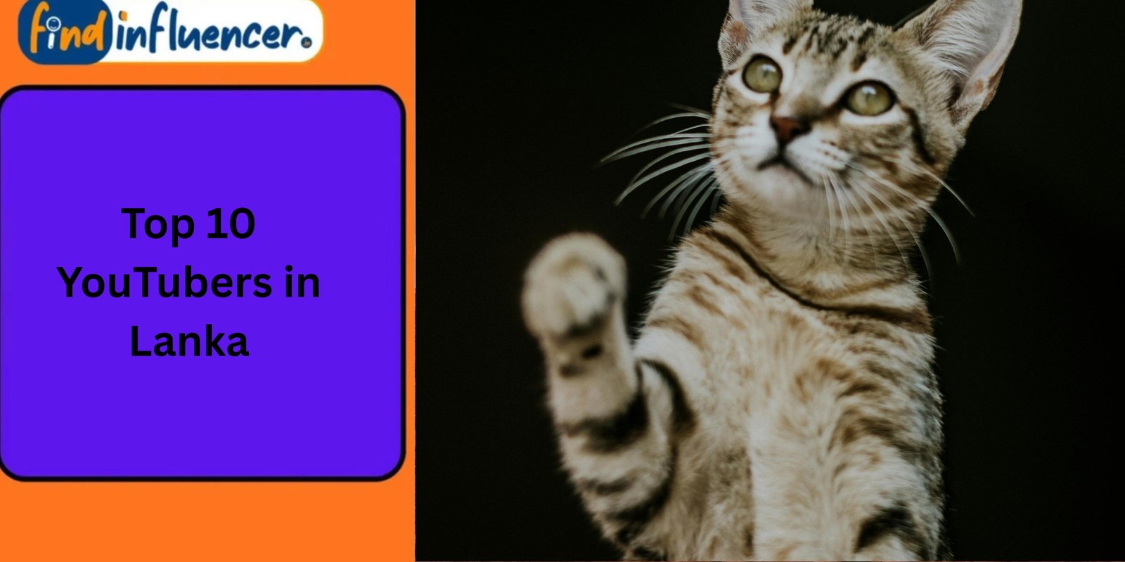 Top 10 YouTubers in Lanka