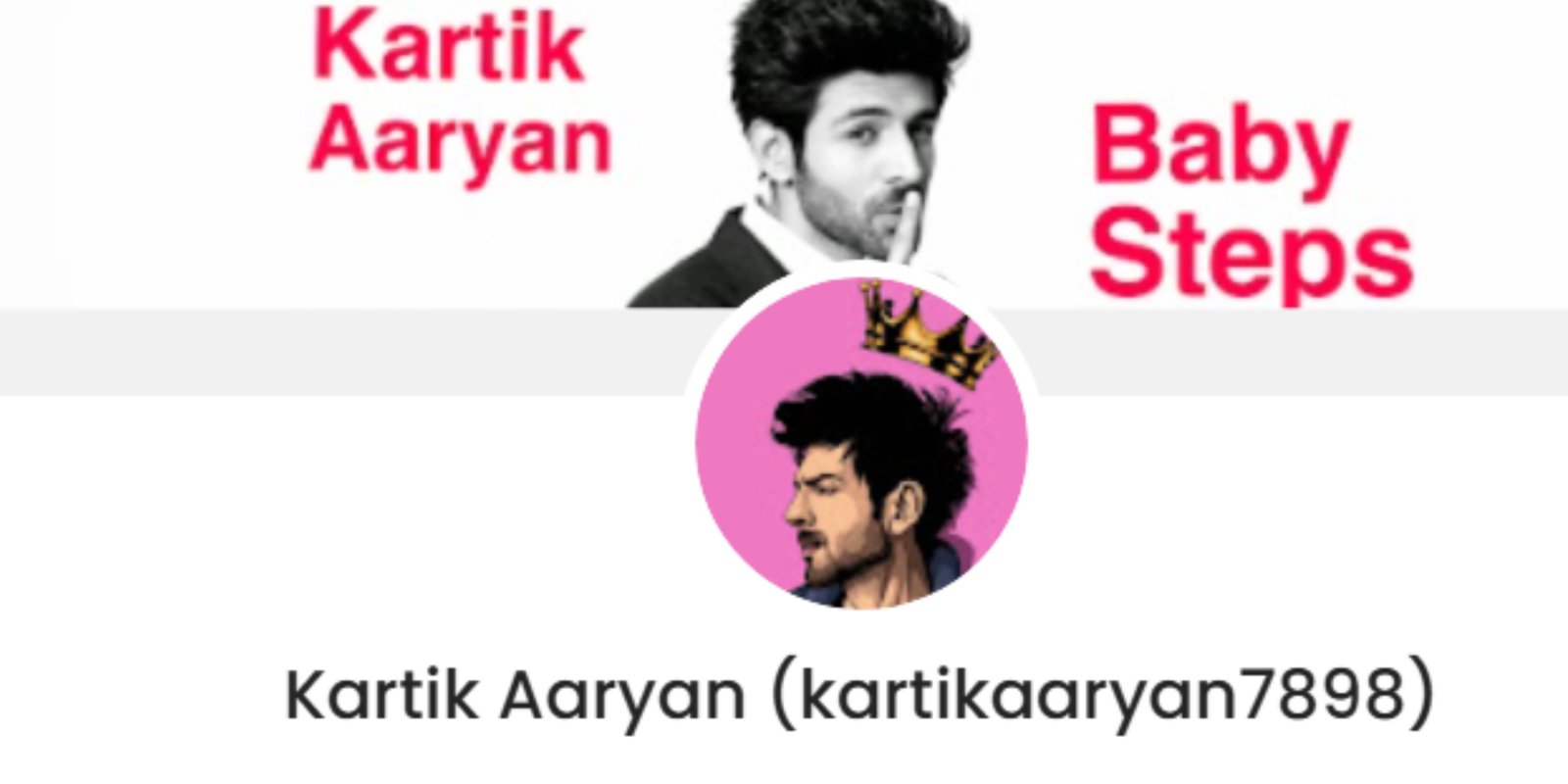 Kartik Aaryan Promotion Price