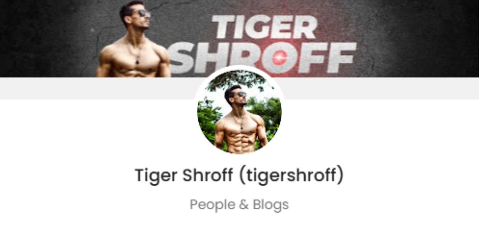 Tiger Shroff Promotion Price