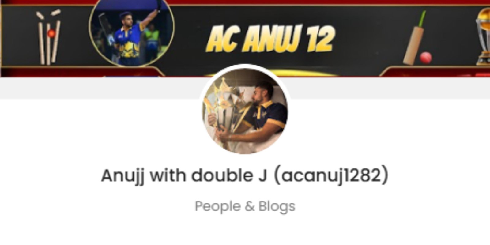 Anujj Chaudhary Promotion Price