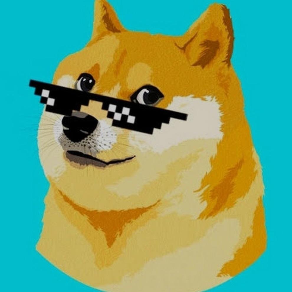 Dankdreamer 